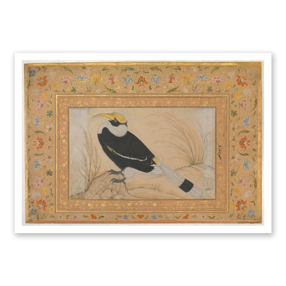 Great Hornbill — Shah Jahan Album Folio | Restored Mughal Wall Art — view 7