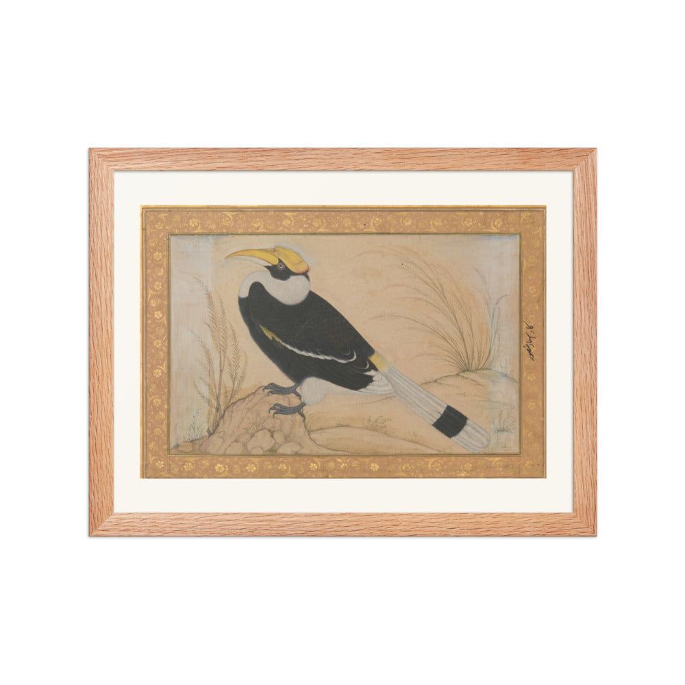 Great Hornbill — Shah Jahan Album Folio | Restored Mughal Wall Art — view 2