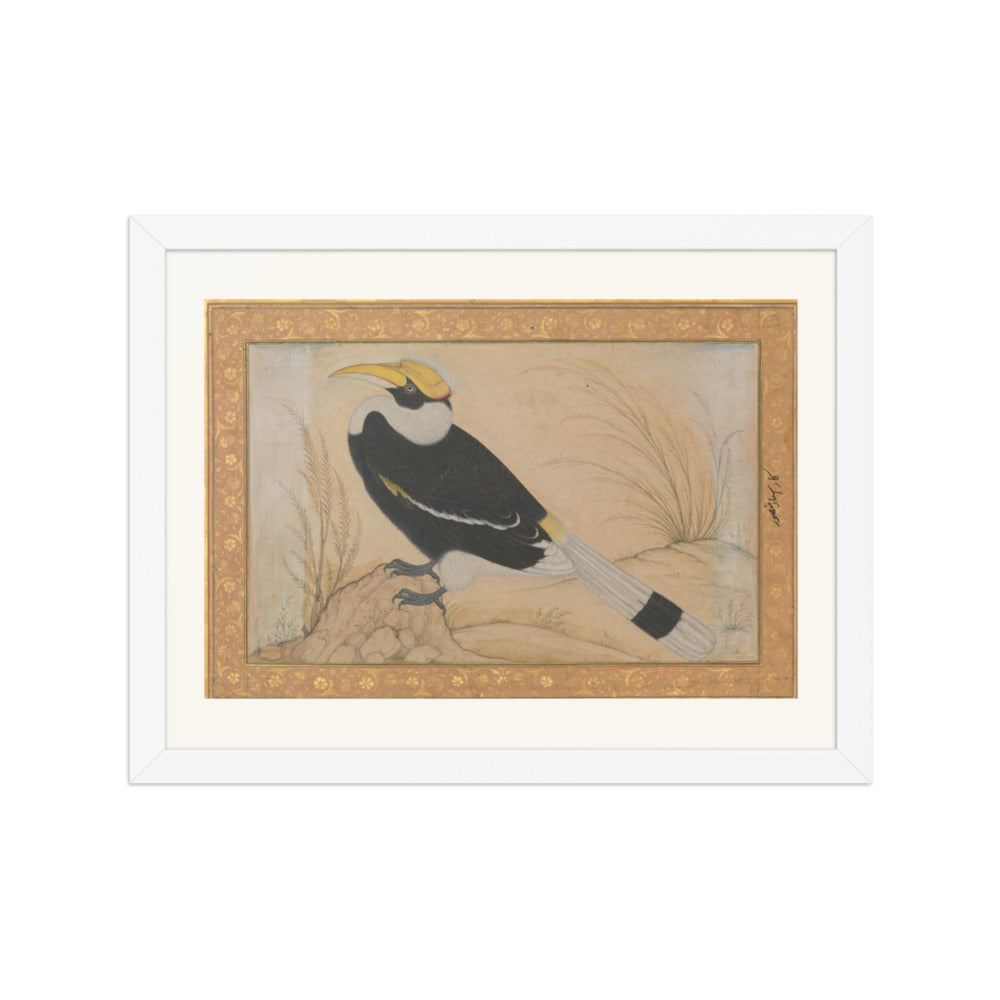 Great Hornbill — Shah Jahan Album Folio | Restored Mughal Wall Art — view 3