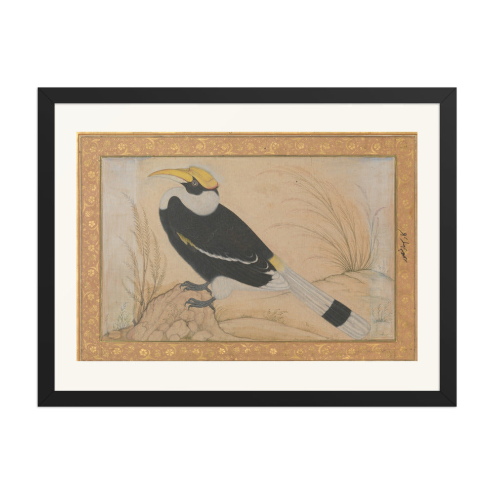Great Hornbill — Shah Jahan Album Folio | Restored Mughal Wall Art — view 4