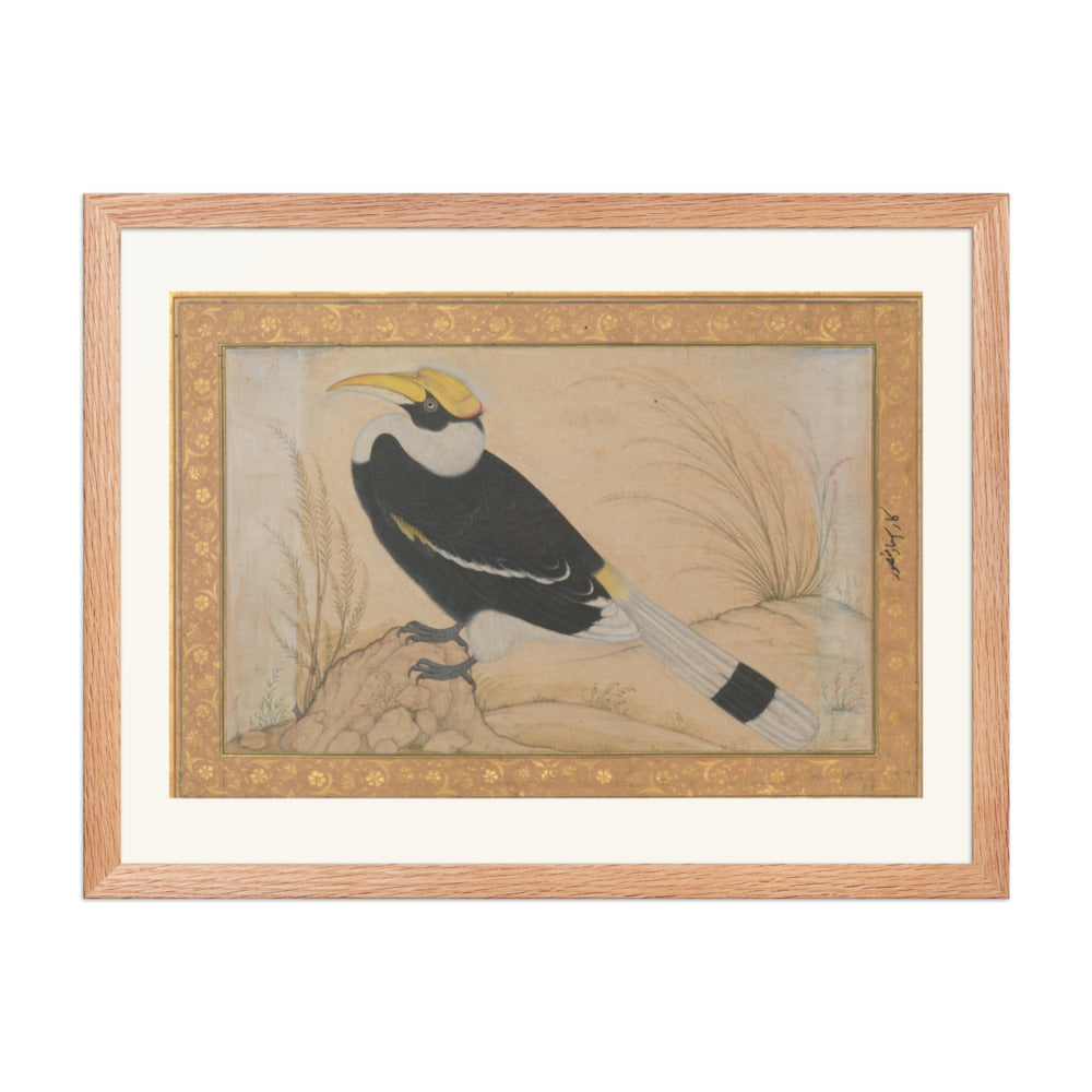 Great Hornbill — Shah Jahan Album Folio | Restored Mughal Wall Art — view 5