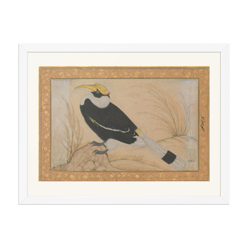 Great Hornbill — Shah Jahan Album Folio | Restored Mughal Wall Art — view 6
