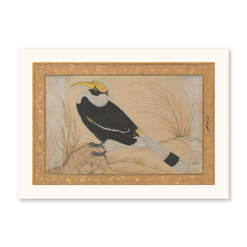 Great Hornbill — Shah Jahan Album Folio | Restored Mughal Wall Art — view 7
