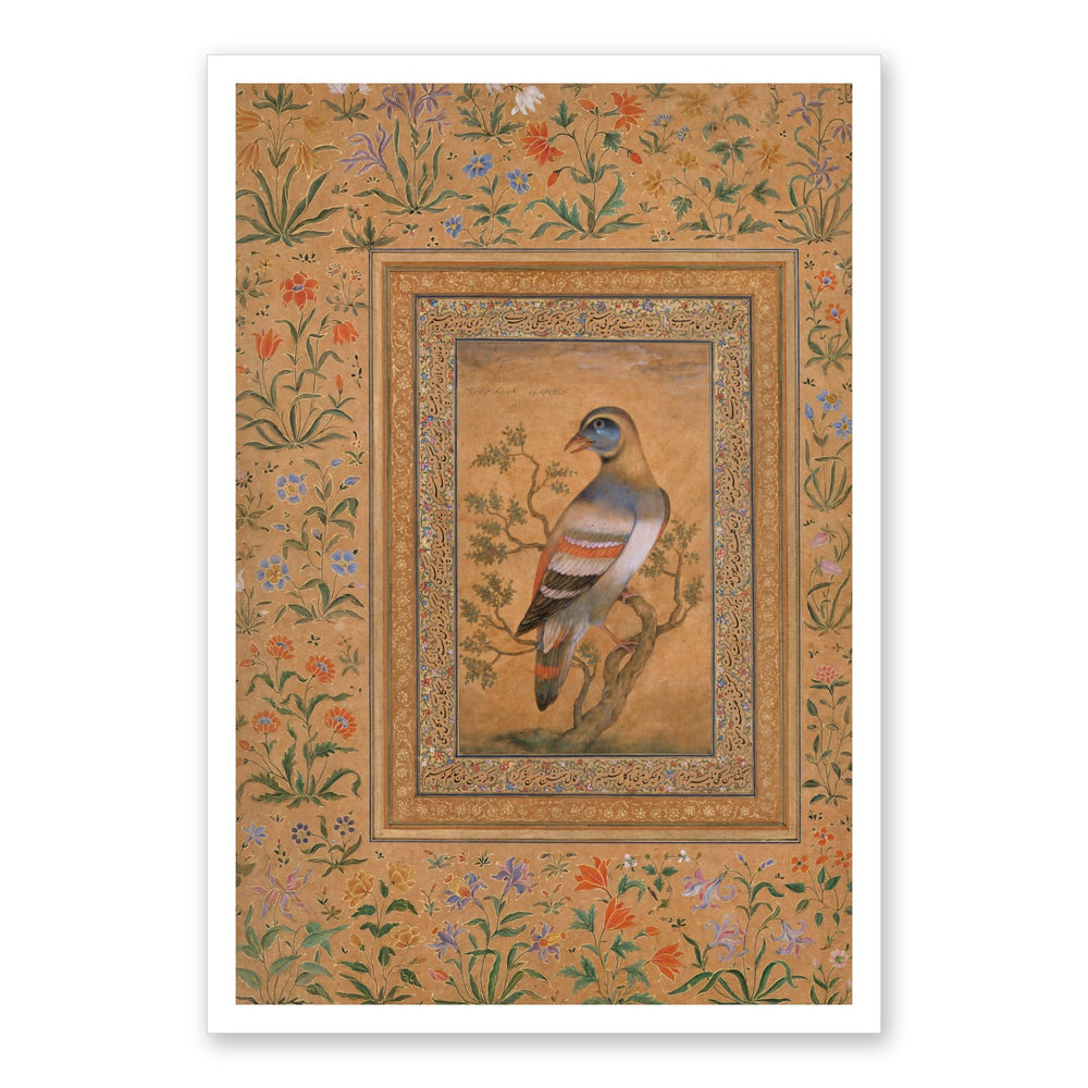 Buqalamun Bird from the Baburnama — Late 16th Century Mughal Album Art — view 7