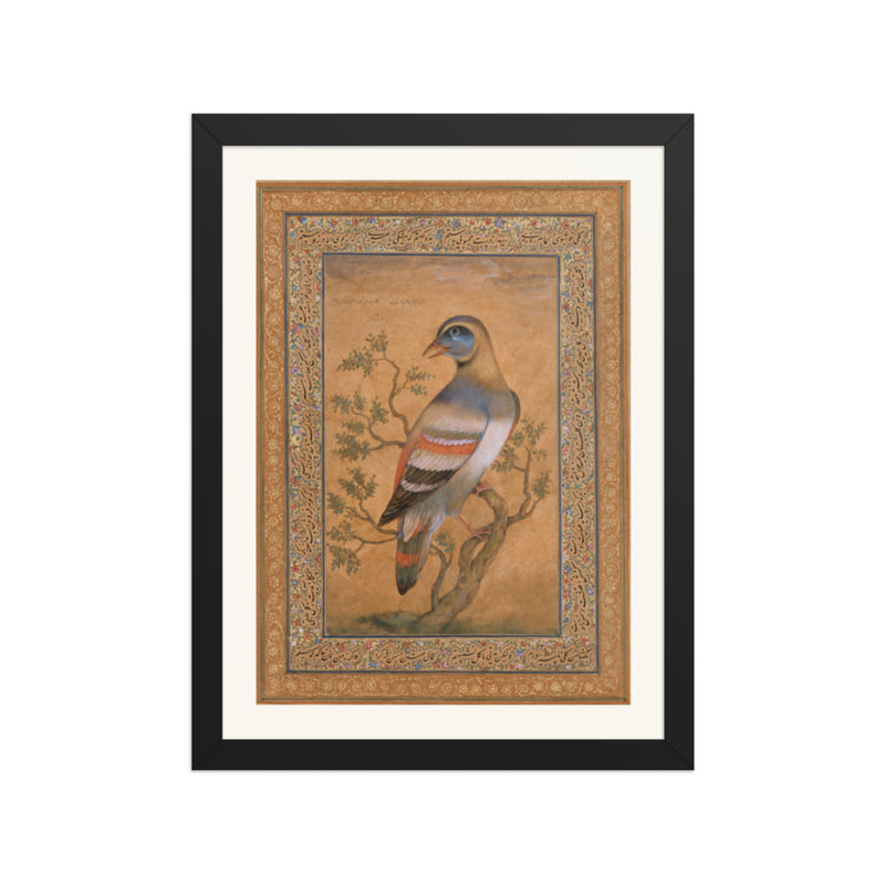 Buqalamun Bird from the Baburnama — Late 16th Century Mughal Album Art