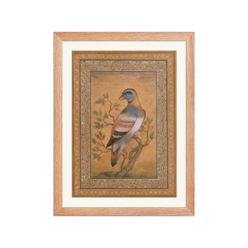 Buqalamun Bird from the Baburnama — Late 16th Century Mughal Album Art — view 2
