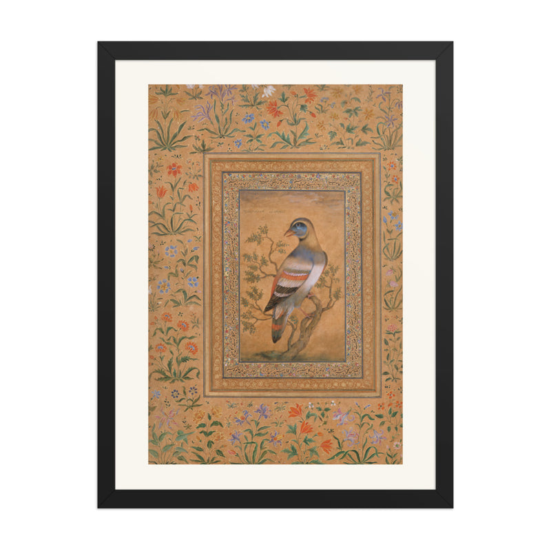 Buqalamun Bird from the Baburnama — Late 16th Century Mughal Album Art