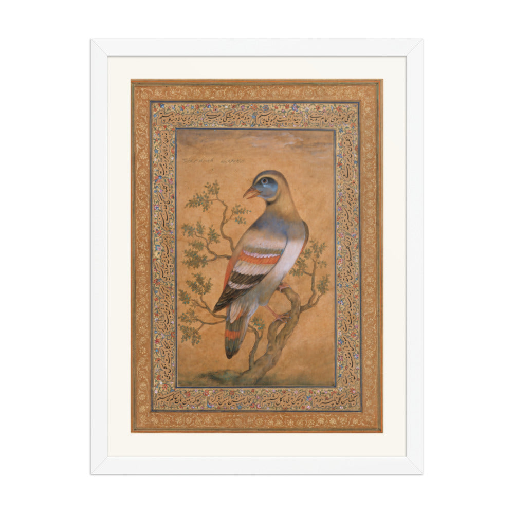 Buqalamun Bird from the Baburnama — Late 16th Century Mughal Album Art — view 6