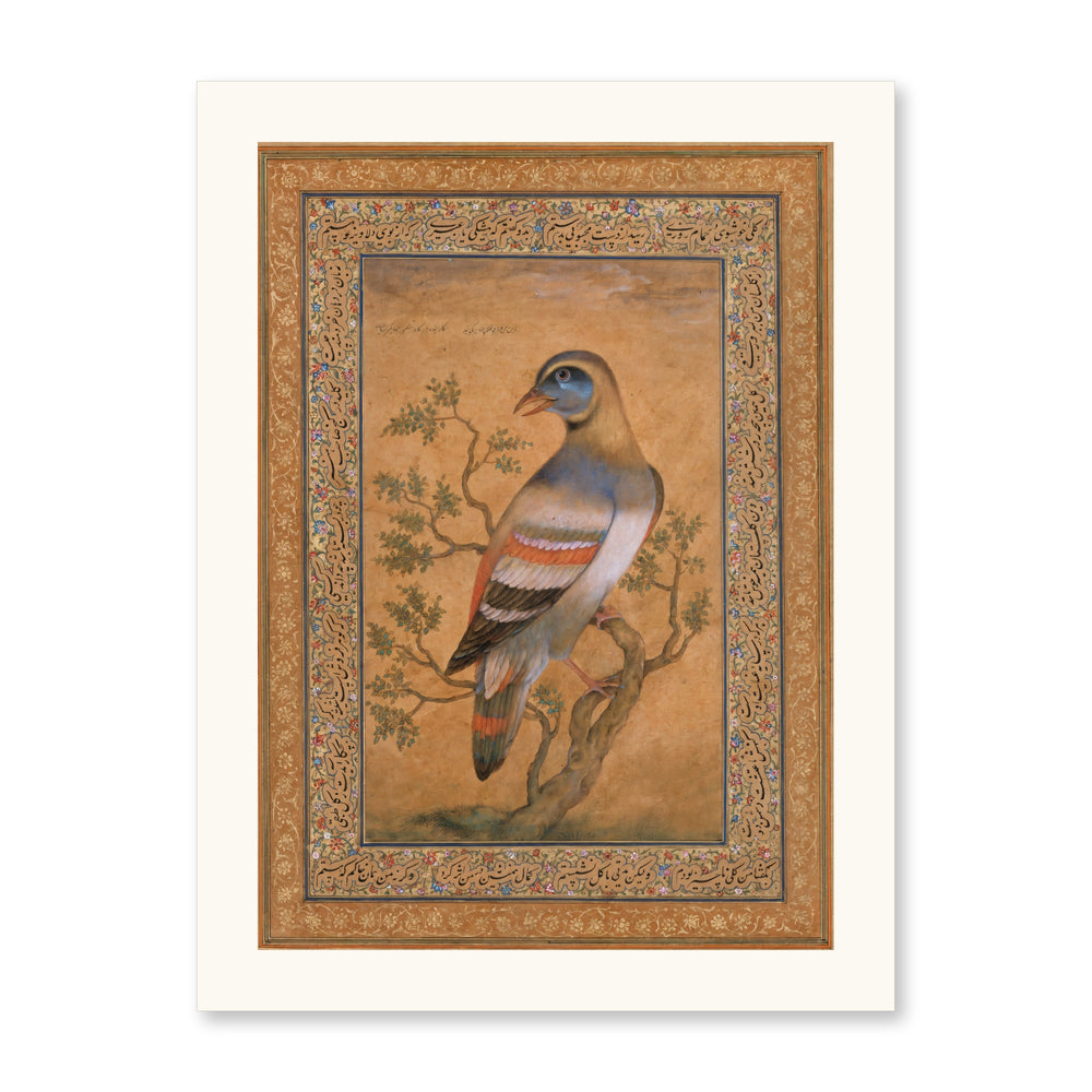 Buqalamun Bird from the Baburnama — Late 16th Century Mughal Album Art — view 7