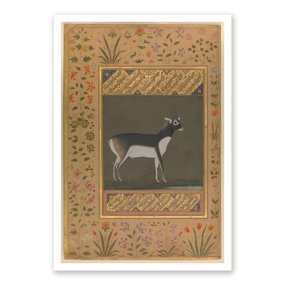 Black Buck — Shah Jahan Album Folio | Restored Mughal Wall Art — view 7