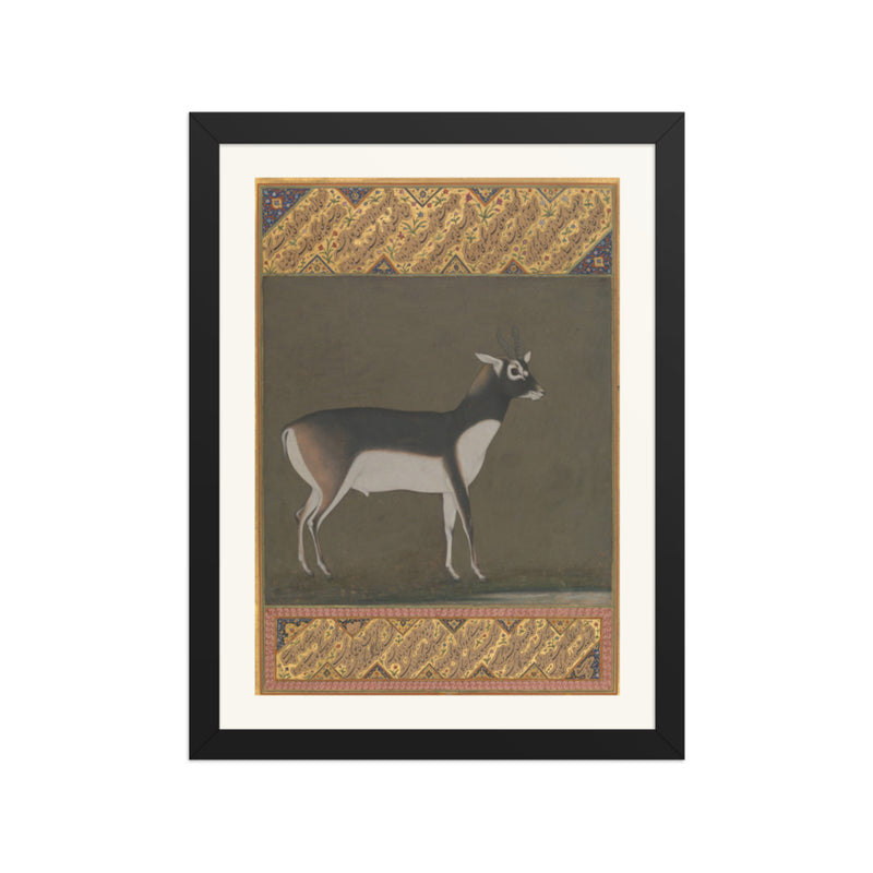 Black Buck — Shah Jahan Album Folio | Restored Mughal Wall Art