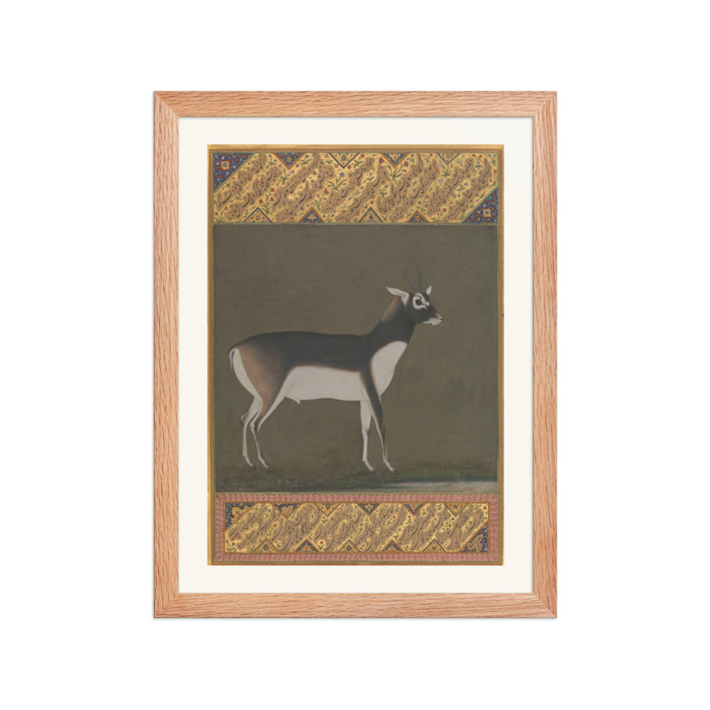 Black Buck — Shah Jahan Album Folio | Restored Mughal Wall Art — view 2