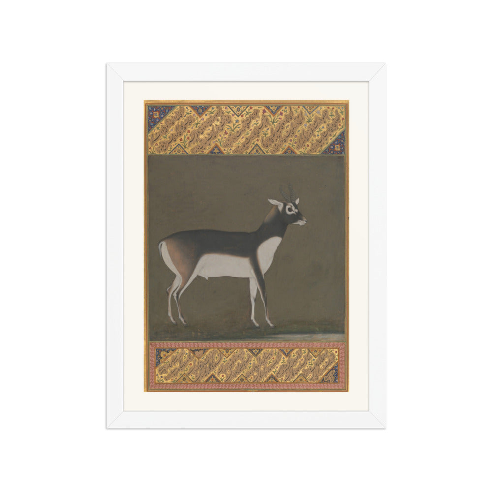 Black Buck — Shah Jahan Album Folio | Restored Mughal Wall Art — view 3