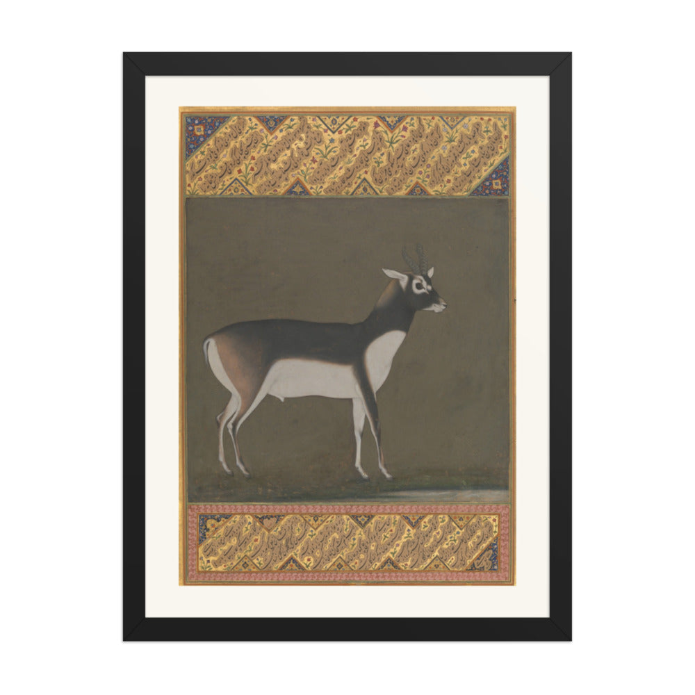 Black Buck — Shah Jahan Album Folio | Restored Mughal Wall Art — view 4