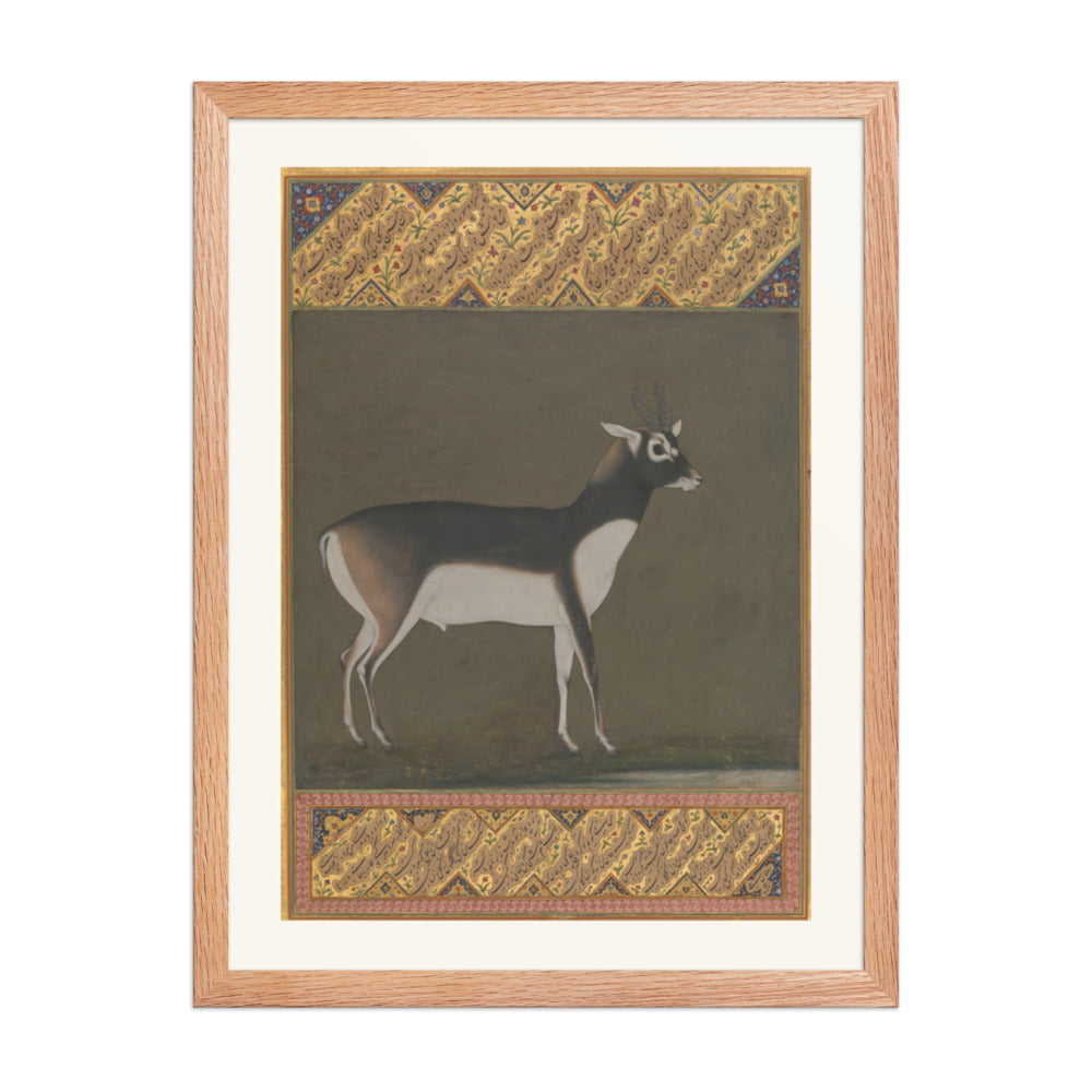 Black Buck — Shah Jahan Album Folio | Restored Mughal Wall Art — view 5
