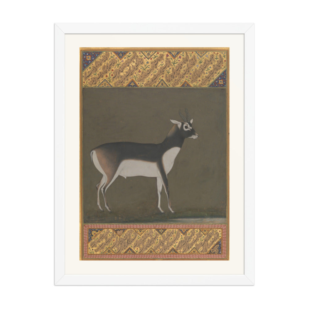 Black Buck — Shah Jahan Album Folio | Restored Mughal Wall Art — view 6