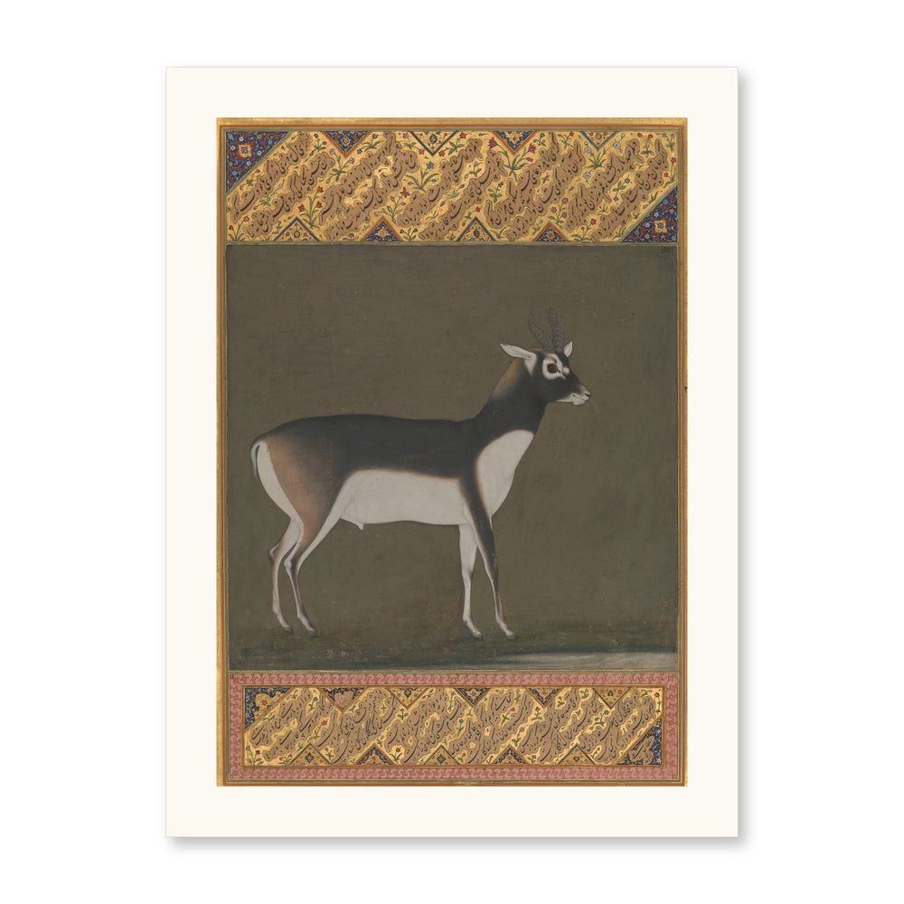 Black Buck — Shah Jahan Album Folio | Restored Mughal Wall Art — view 7