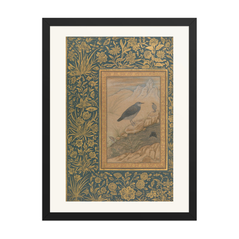 Diving Dipper and Other Birds | Restored Mughal Wall Art