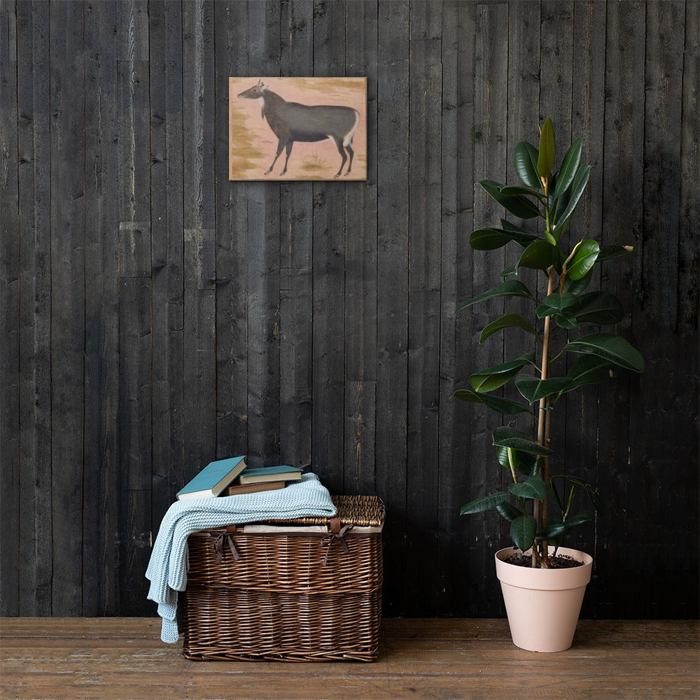 Study of a Nilgai (Blue Bull) | Restored Mughal Wall Art — view 8