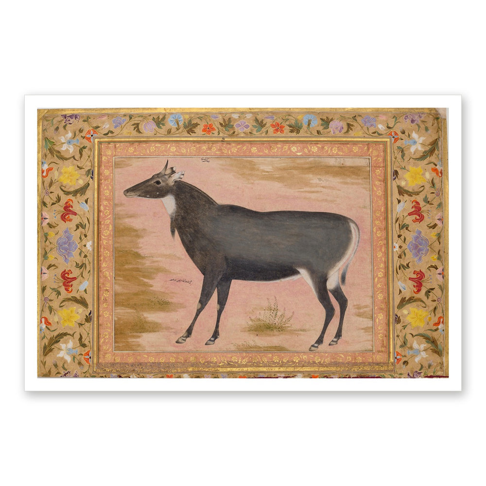 Study of a Nilgai (Blue Bull) | Restored Mughal Wall Art — view 7