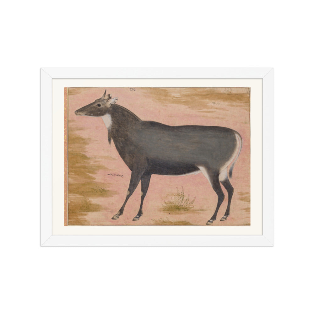 Study of a Nilgai (Blue Bull) | Restored Mughal Wall Art — view 3