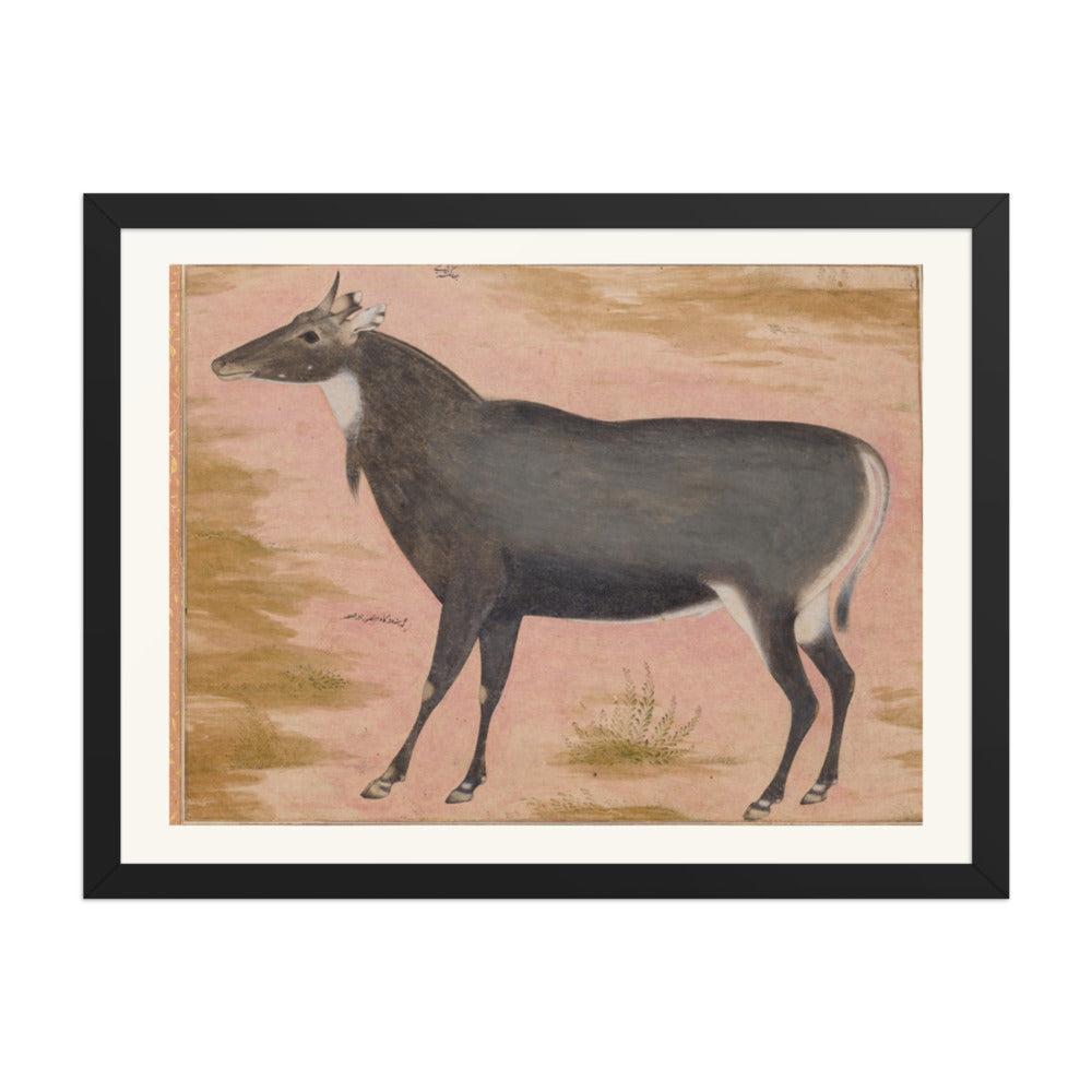Study of a Nilgai (Blue Bull) | Restored Mughal Wall Art — view 4