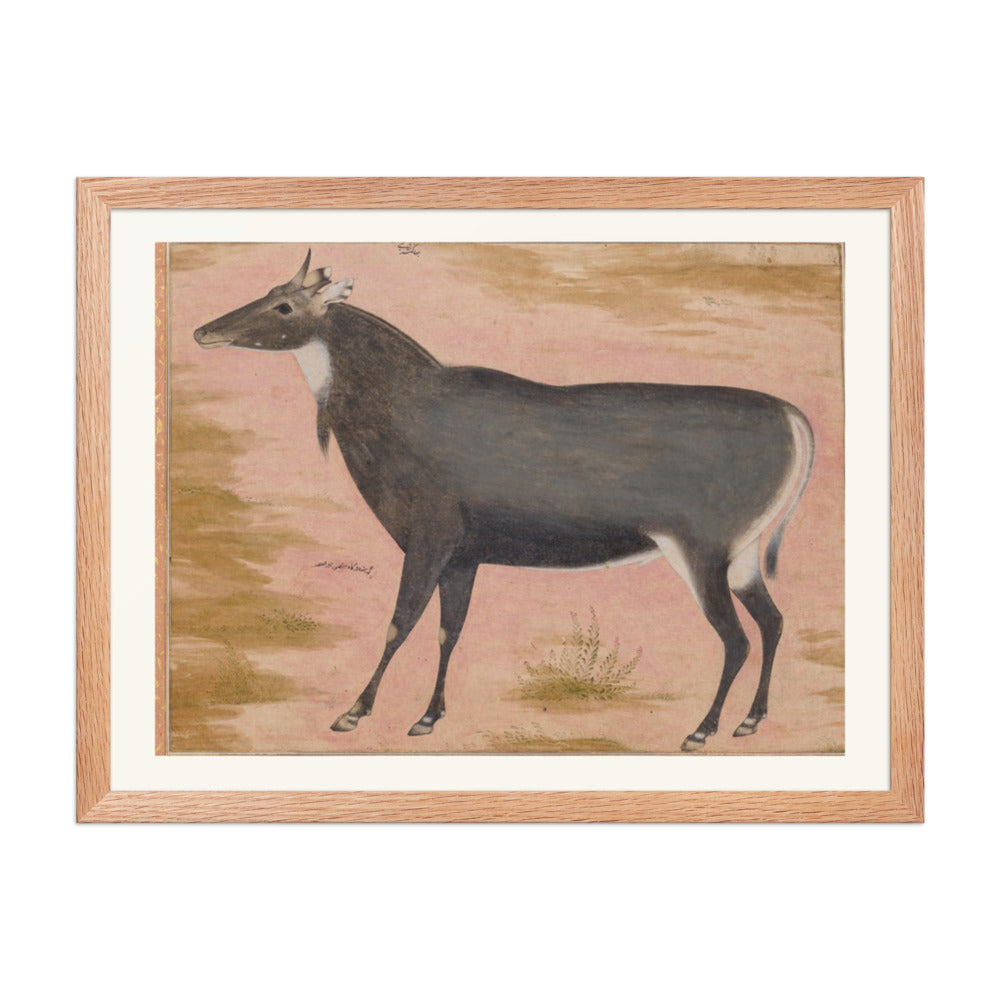 Study of a Nilgai (Blue Bull) | Restored Mughal Wall Art — view 5