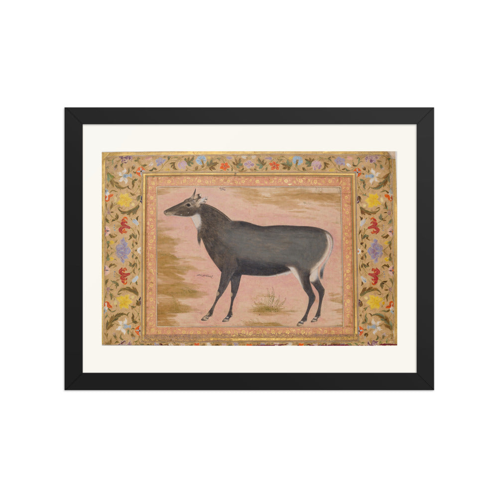 Study of a Nilgai (Blue Bull) | Restored Mughal Wall Art — view 2