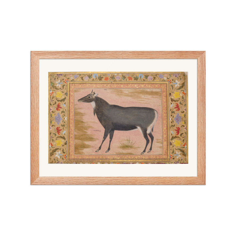 Study of a Nilgai (Blue Bull) | Restored Mughal Wall Art — view 4