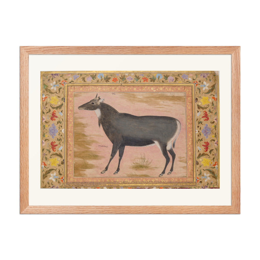 Study of a Nilgai (Blue Bull) | Restored Mughal Wall Art — view 3