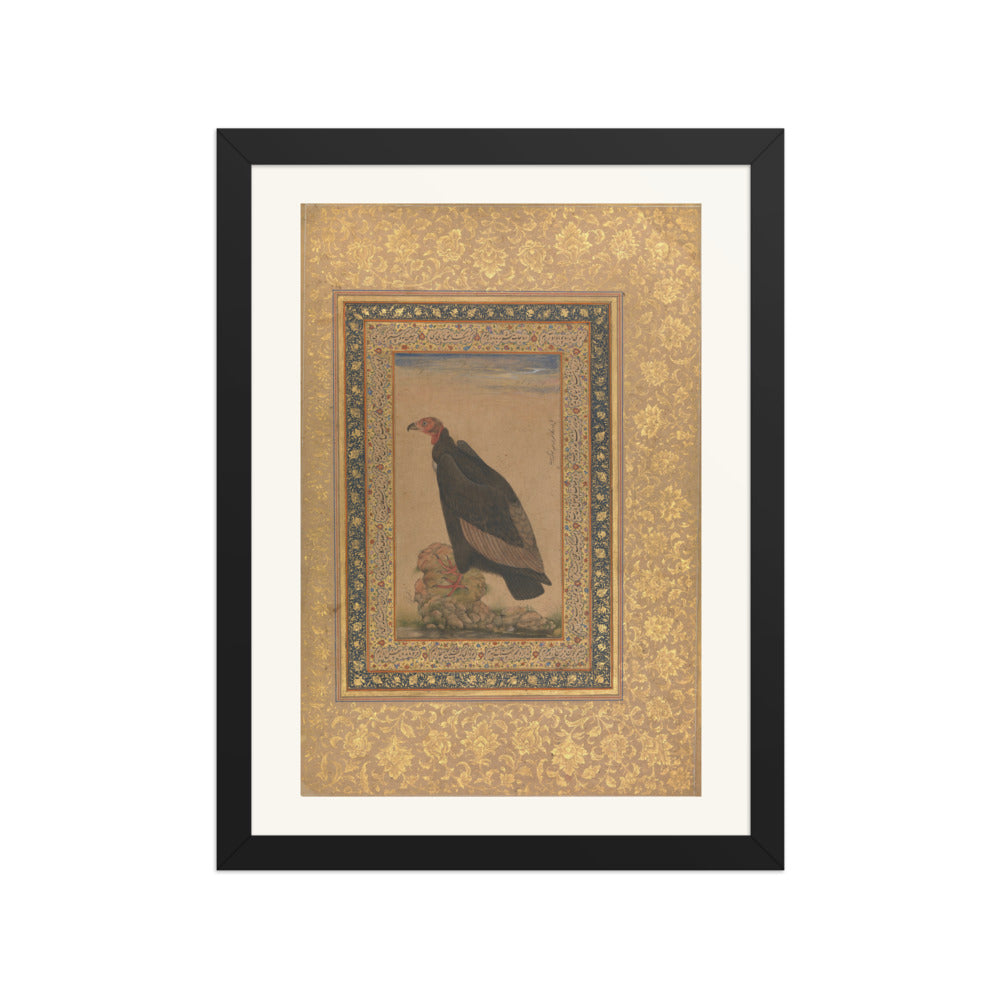 Red-Headed Vulture | Restored Mughal Wall Art — view 2