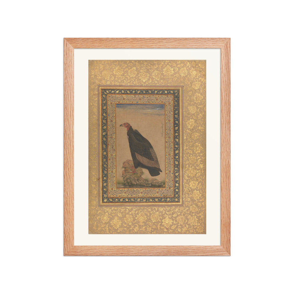 Red-Headed Vulture | Restored Mughal Wall Art — view 4