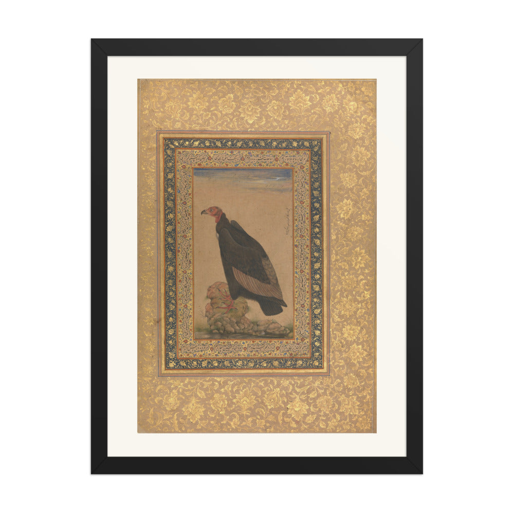 Red-Headed Vulture | Restored Mughal Wall Art — view 1