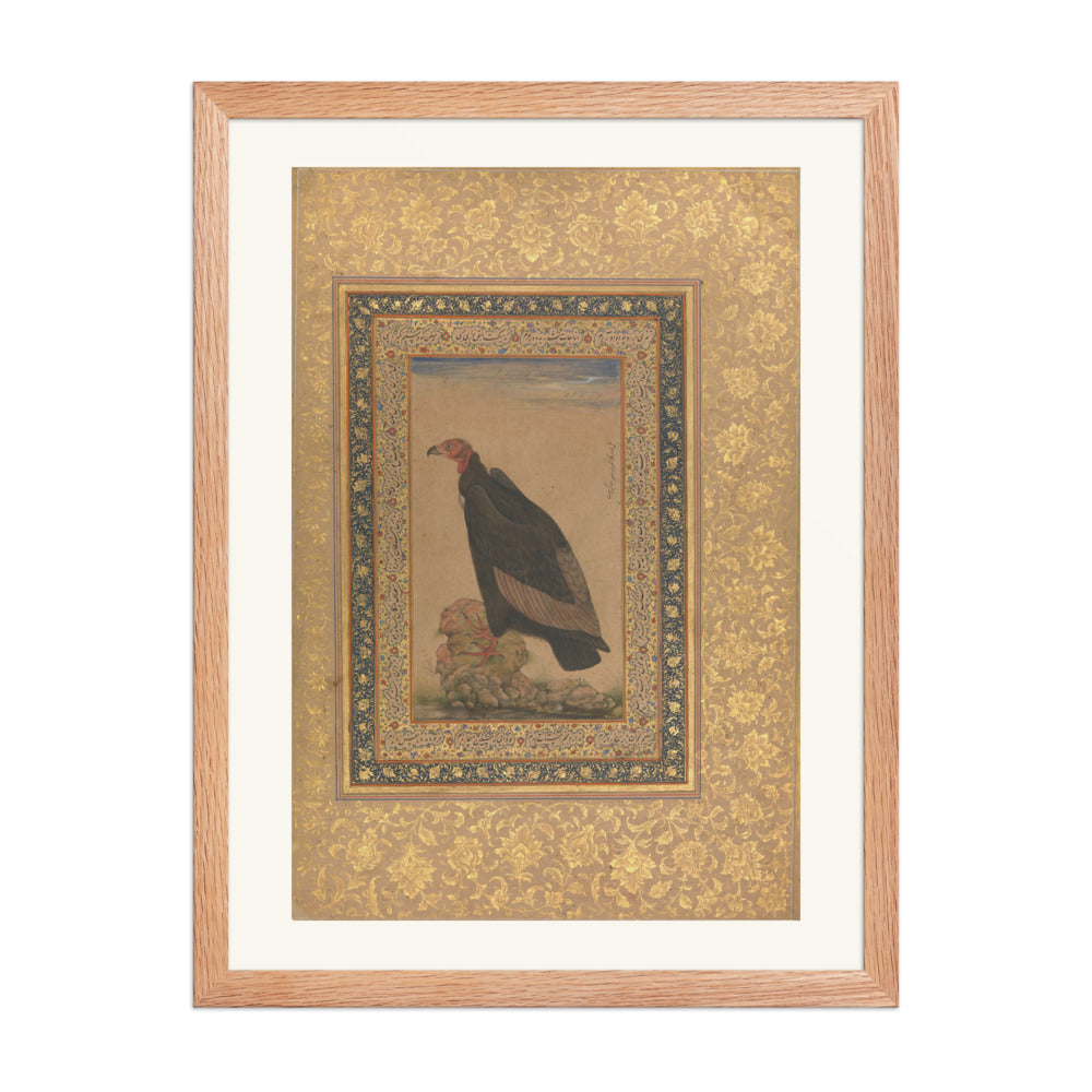 Red-Headed Vulture | Restored Mughal Wall Art — view 3