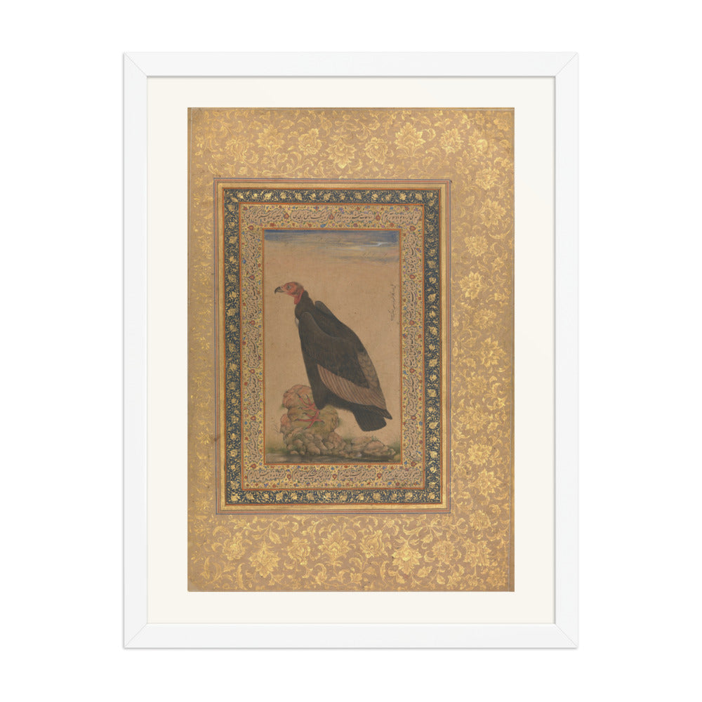 Red-Headed Vulture | Restored Mughal Wall Art — view 5