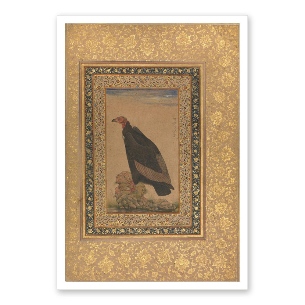 Red-Headed Vulture | Restored Mughal Wall Art — view 7