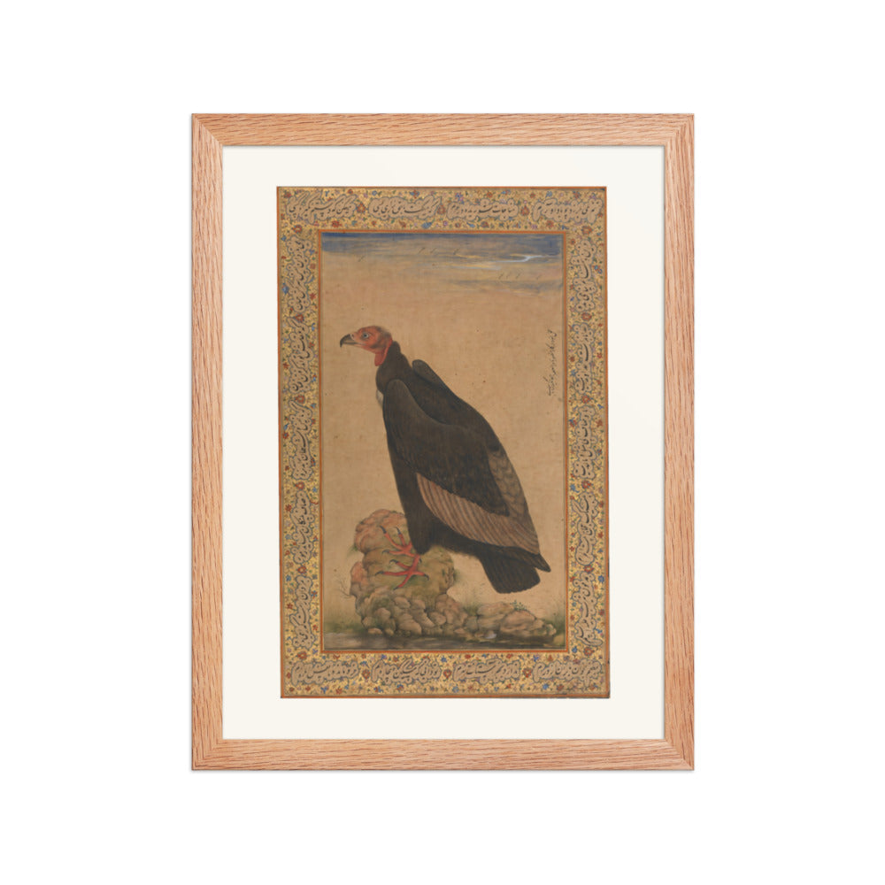 Red-Headed Vulture | Restored Mughal Wall Art — view 2
