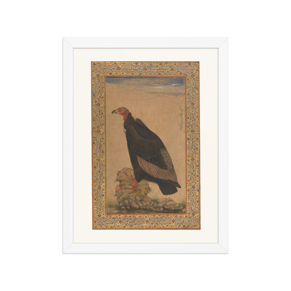 Red-Headed Vulture | Restored Mughal Wall Art — view 3