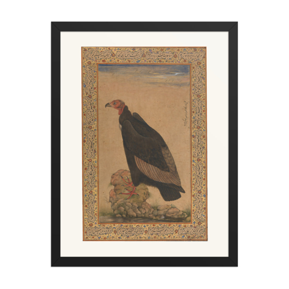 Red-Headed Vulture | Restored Mughal Wall Art — view 4