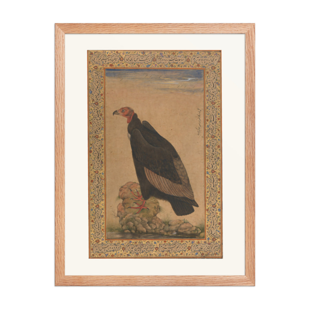 Red-Headed Vulture | Restored Mughal Wall Art — view 5