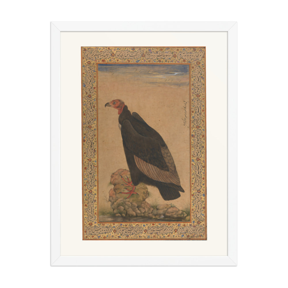 Red-Headed Vulture | Restored Mughal Wall Art — view 6