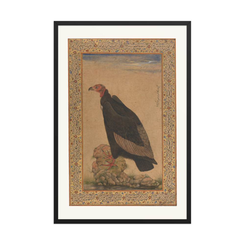 Red-Headed Vulture | Restored Mughal Wall Art — view 7