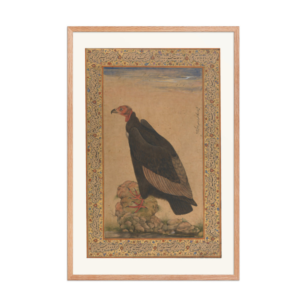 Red-Headed Vulture | Restored Mughal Wall Art — view 8