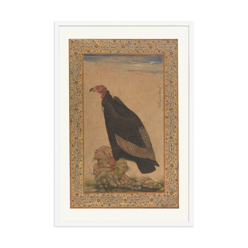 Red-Headed Vulture | Restored Mughal Wall Art — view 9