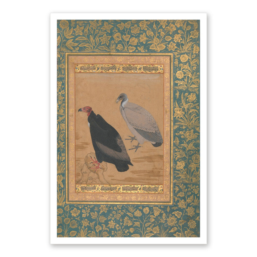Red-Headed Vulture and Long-Billed Vulture — Shah Jahan Album Folio | Restored Mughal Wall Art — view 7