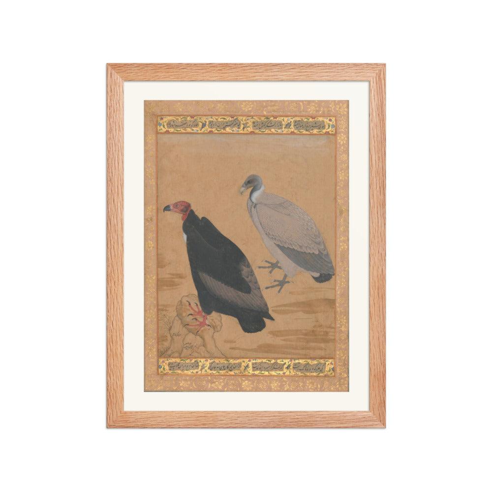 Red-Headed Vulture and Long-Billed Vulture — Shah Jahan Album Folio | Restored Mughal Wall Art — view 2