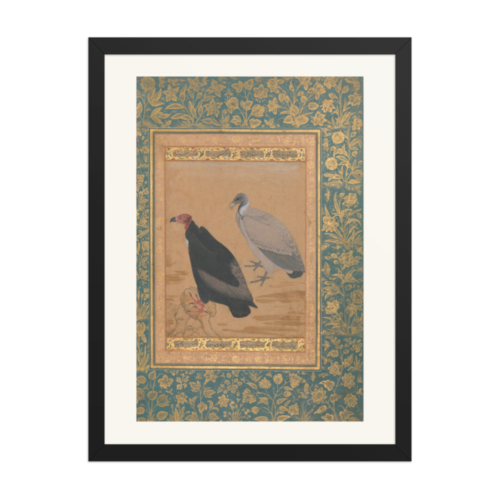 Red-Headed Vulture and Long-Billed Vulture — Shah Jahan Album Folio | Restored Mughal Wall Art — view 1