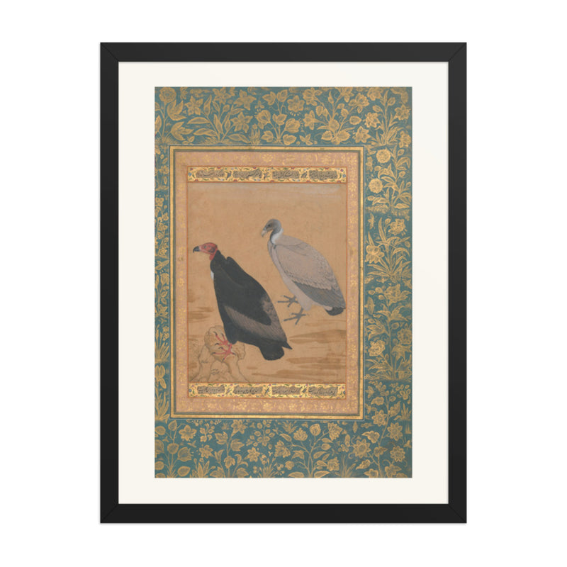 Red-Headed Vulture and Long-Billed Vulture — Shah Jahan Album Folio | Restored Mughal Wall Art