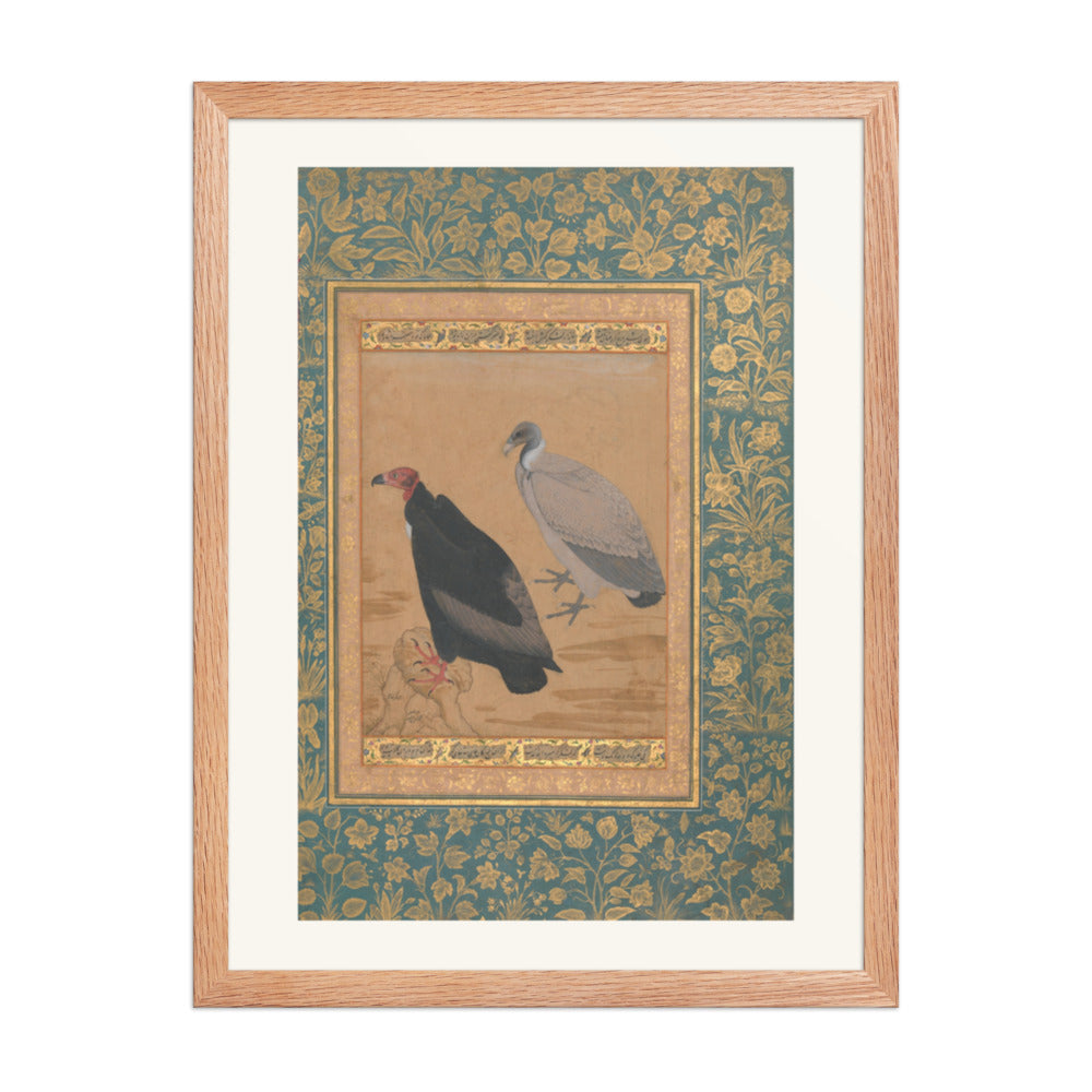 Red-Headed Vulture and Long-Billed Vulture — Shah Jahan Album Folio | Restored Mughal Wall Art — view 3