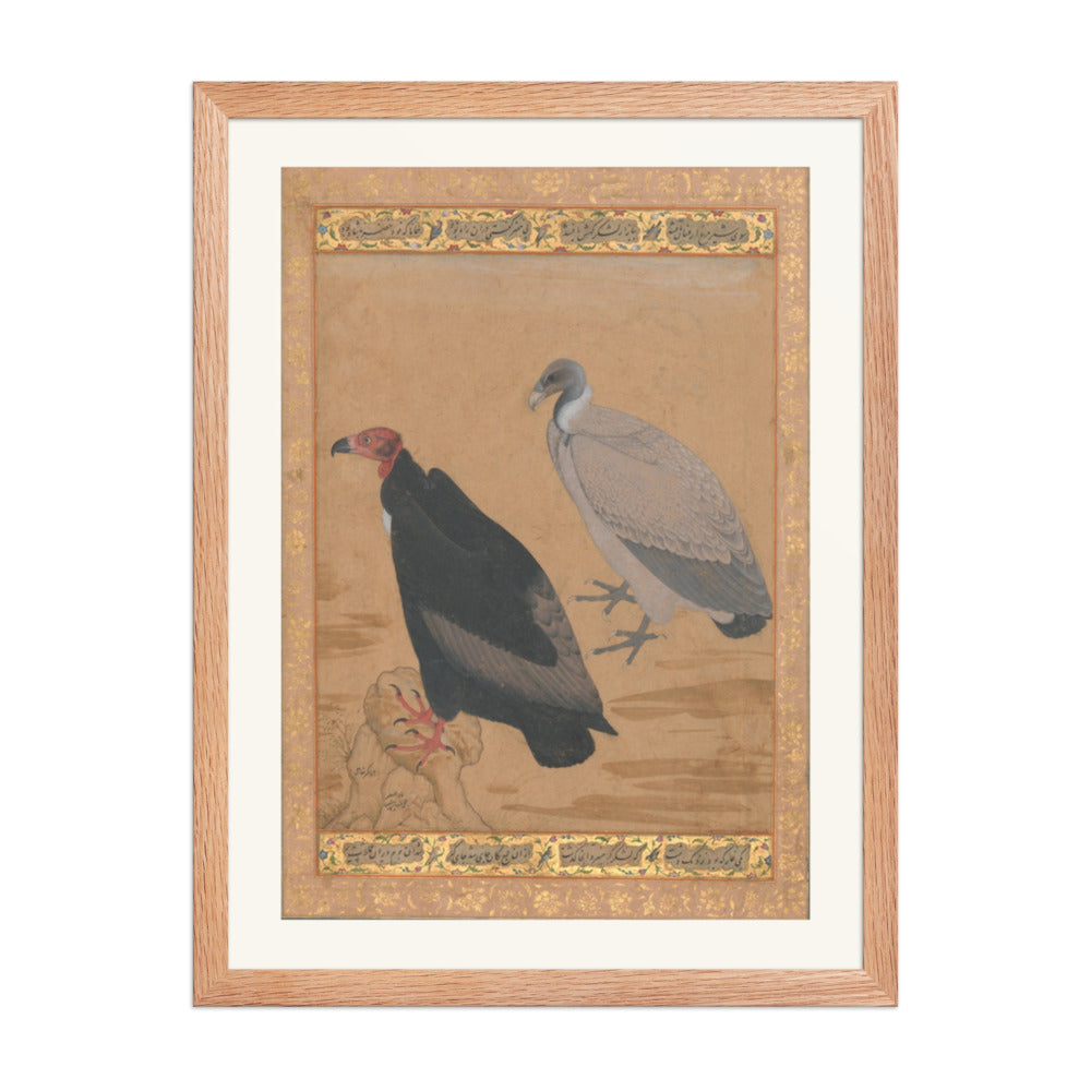 Red-Headed Vulture and Long-Billed Vulture — Shah Jahan Album Folio | Restored Mughal Wall Art — view 5